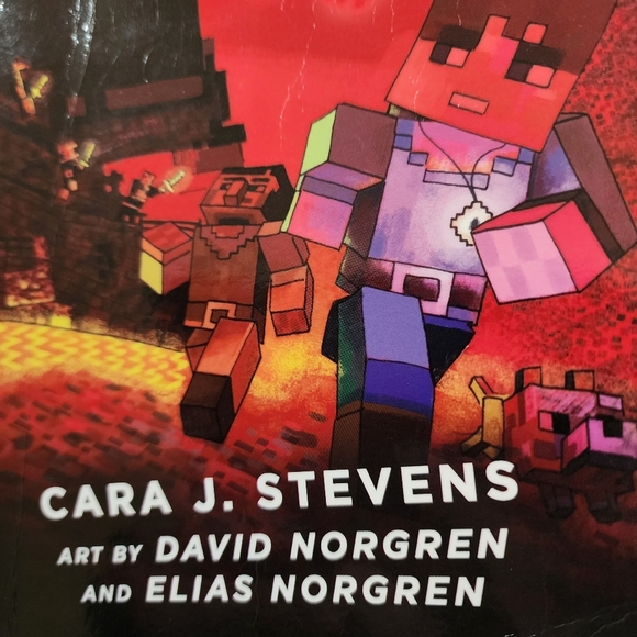 The Ender Eye Prophecy Minecraft book - Picture 7 of 8